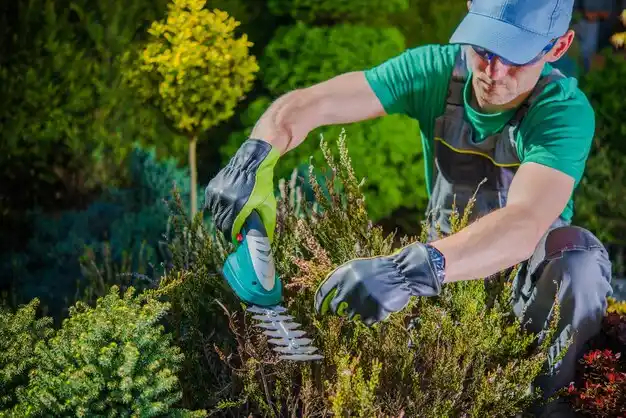 landscaping services Westfield